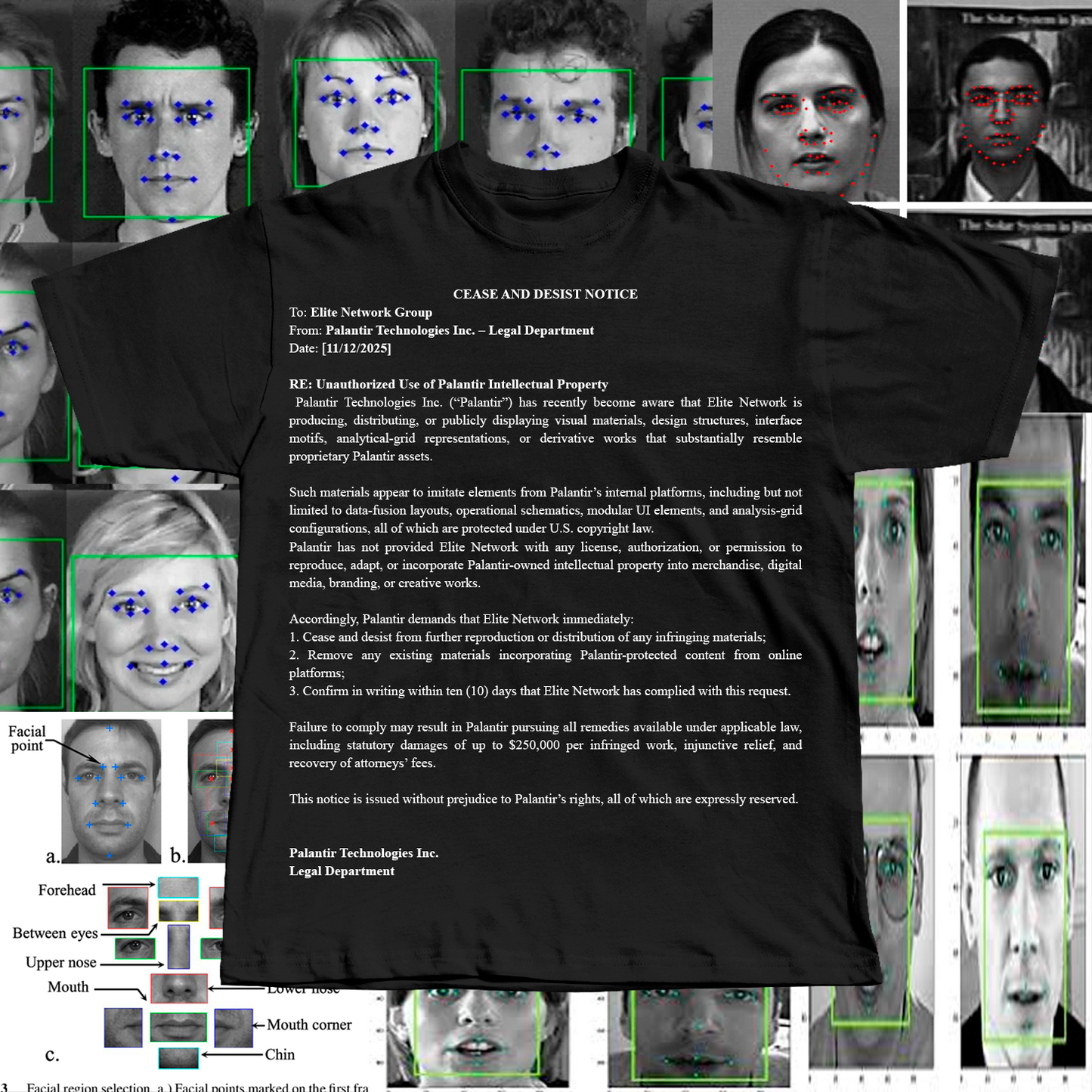 PALANTIR LAWSUIT BLACK